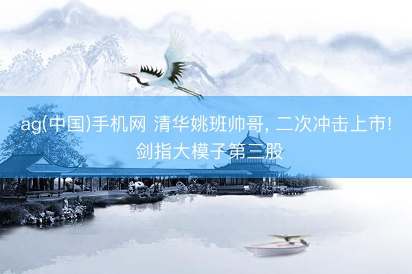 ag(中国)手机网 清华姚班帅哥， 二次冲击上市! 剑指大模子第三股