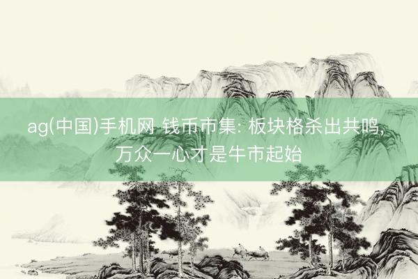 ag(中国)手机网 钱币市集: 板块格杀出共鸣， 万众一心才是牛市起始