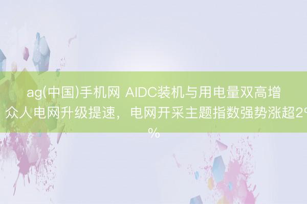ag(中国)手机网 AIDC装机与用电量双高增，众人电网升级提速，电网开采主题指数强势涨超2%
