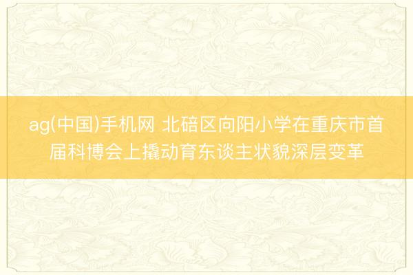 ag(中国)手机网 北碚区向阳小学在重庆市首届科博会上撬动育东谈主状貌深层变革