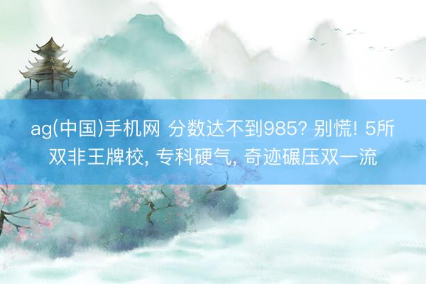 ag(中国)手机网 分数达不到985? 别慌! 5所双非王牌校， 专科硬气， 奇迹碾压双一流