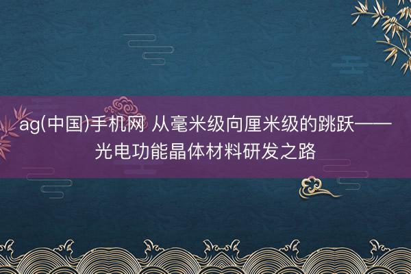 ag(中国)手机网 从毫米级向厘米级的跳跃——光电功能晶体材料研发之路