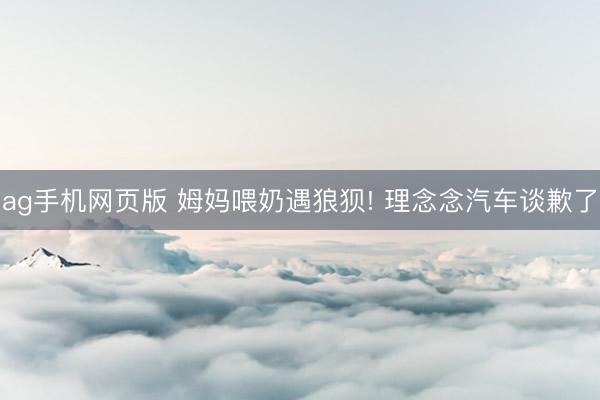 ag手机网页版 姆妈喂奶遇狼狈! 理念念汽车谈歉了