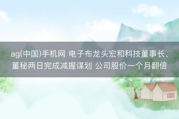 ag(中国)手机网 电子布龙头宏和科技董事长、董秘两日完成减握谋划 公司股价一个月翻倍