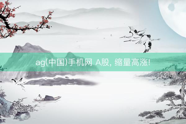 ag(中国)手机网 A股， 缩量高涨!