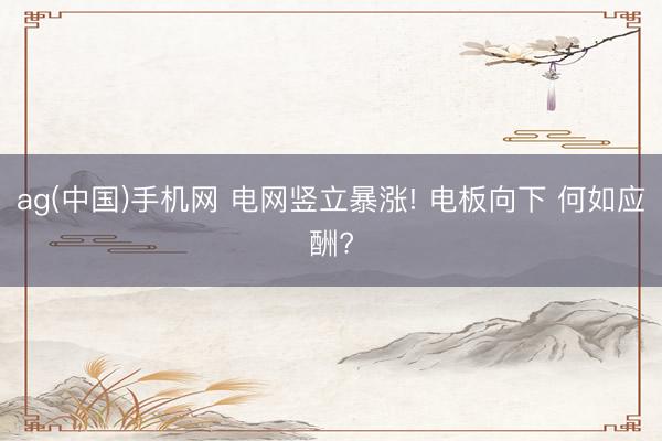 ag(中国)手机网 电网竖立暴涨! 电板向下 何如应酬?