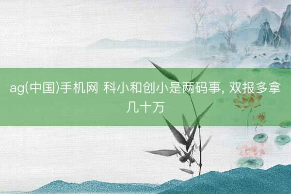 ag(中国)手机网 科小和创小是两码事， 双报多拿几十万