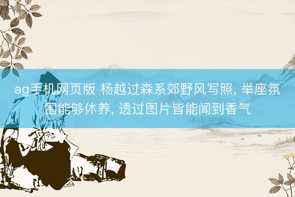 ag手机网页版 杨越过森系郊野风写照， 举座氛围能够休养，<a href=