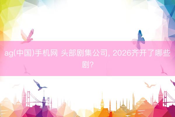 ag(中国)手机网 头部剧集公司， 2026齐开了哪些剧?