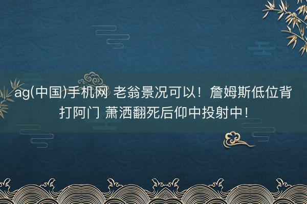 ag(中国)手机网 老翁景况可以！詹姆斯低位背打阿门 萧洒翻死后仰中投射中！
