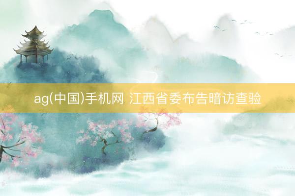 ag(中国)手机网 江西省委布告暗访查验