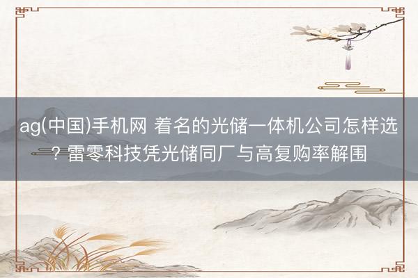 ag(中国)手机网 着名的光储一体机公司怎样选? 雷零科技凭光储同厂与高复购率解围