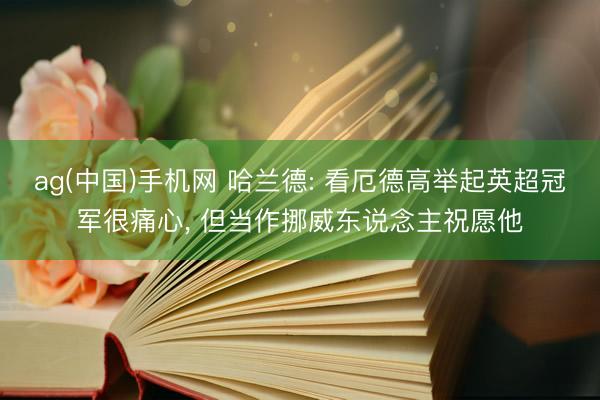ag(中国)手机网 哈兰德: 看厄德高举起英超冠军很痛心， 但当作挪威东说念主祝愿他
