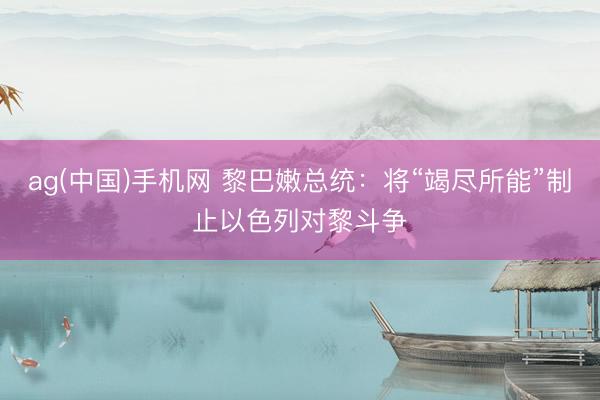 ag(中国)手机网 黎巴嫩总统：将“竭尽所能”制止以色列对黎斗争