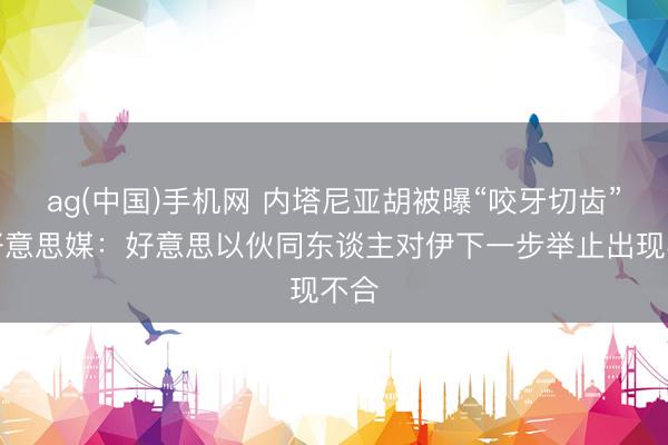 ag(中国)手机网 内塔尼亚胡被曝“咬牙切齿”，好意思媒：好意思以伙同东谈主对伊下一步举止出现不合