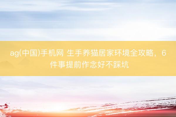 ag(中国)手机网 生手养猫居家环境全攻略，6 件事提前作念好不踩坑