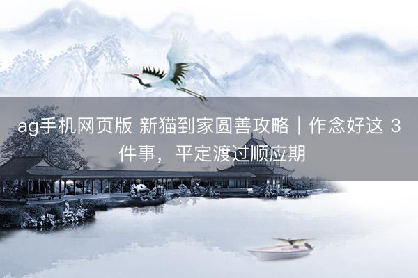 ag手机网页版 新猫到家圆善攻略｜作念好这 3 件事，平定渡过顺应期