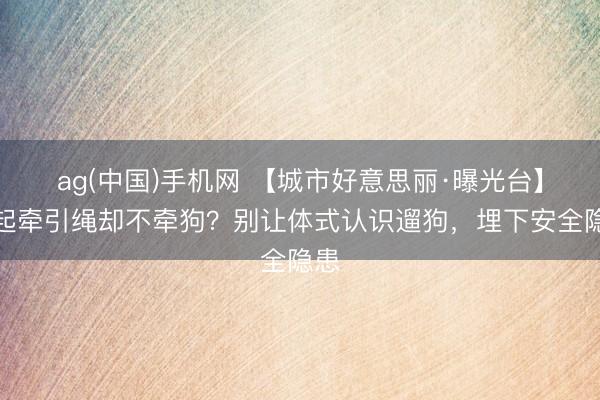 ag(中国)手机网 【城市好意思丽·曝光台】提起牵引绳却不牵狗？别让体式认识遛狗，埋下安全隐患