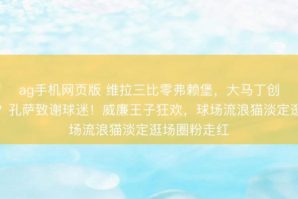 ag手机网页版 维拉三比零弗赖堡，大马丁创下神奇记录？孔萨致谢球迷！威廉王子狂欢，球场流浪猫淡定逛场圈粉走红