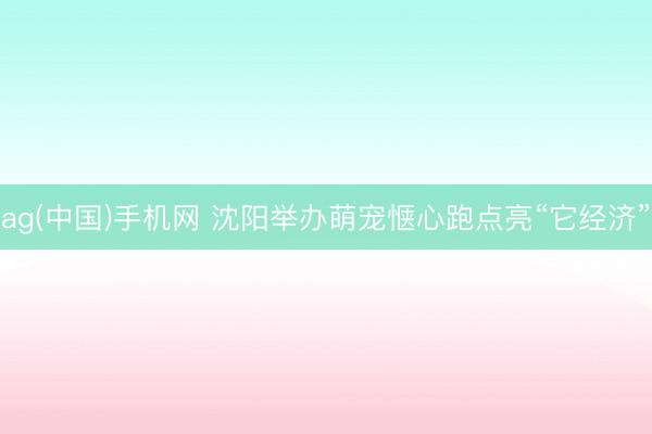 ag(中国)手机网 沈阳举办萌宠惬心跑点亮“它经济”