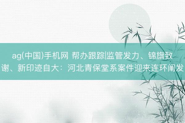 ag(中国)手机网 帮办跟踪|监管发力、锦旗致谢、新印迹自大：河北青保堂系案件迎来连环阐发