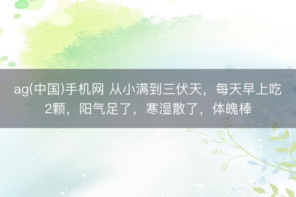 ag(中国)手机网 从小满到三伏天，每天早上吃2颗，阳气足了，寒湿散了，体魄棒